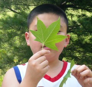 ??????????????????????