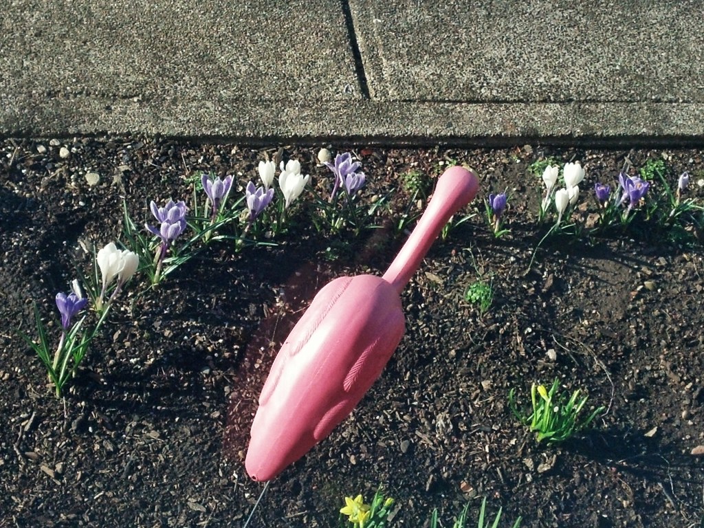 IMG_20140405_175518_407_1